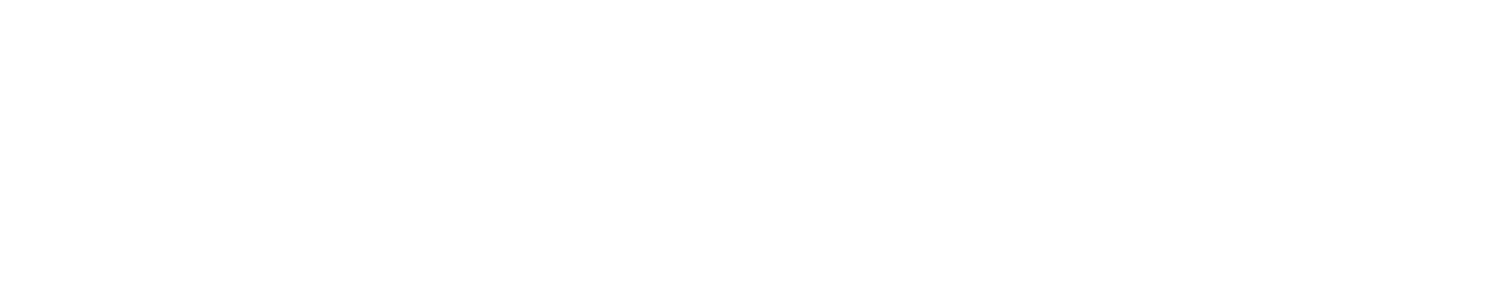 Project Logo
